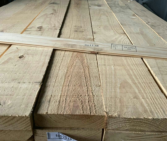 昌黎阿根廷松木